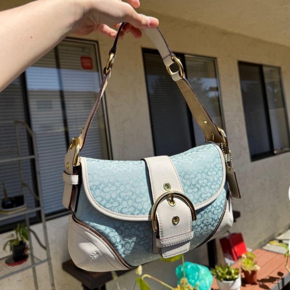 ‼️‼️‼️LOOKING FOR THESE TYPE OF BAGS‼️‼️‼️‼️ - Picture 3 of 14